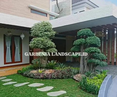 Taman depan rumah dengan dua pohon bonsai besar, rumput, dan batu pijakan