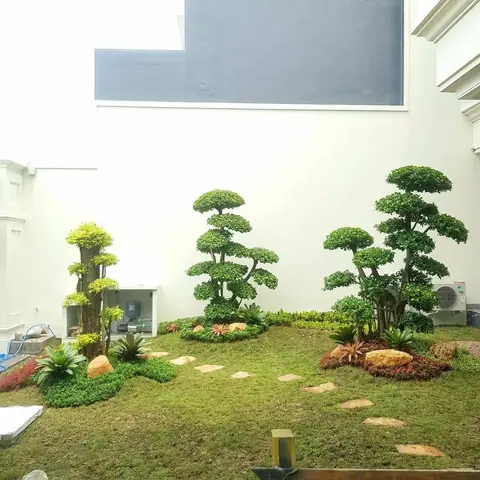 Tiga pohon bonsai di taman rumput di samping tembok putih, dengan batu pijakan