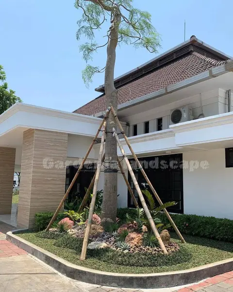 Pohon ditopang bambu di taman kecil berbingkai melengkung, dengan batu hias dan tanaman di depan rumah